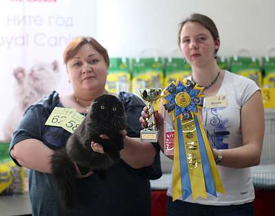   11-12  2015 WCF- 5-59-169A4682 copy.jpg